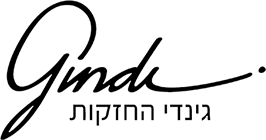 גינדי החזקות